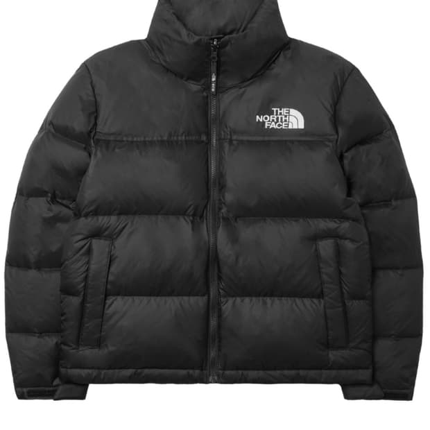 (W) 노스페이스 1996 에코 눕시 구스다운 자켓 S