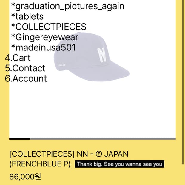 COLLECTPIECES] NN - Ⓕ JAPAN (FRENCHBLUE