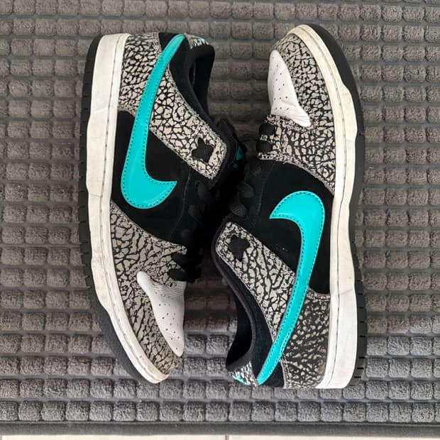 나이키 덩크 sb 제이드 265