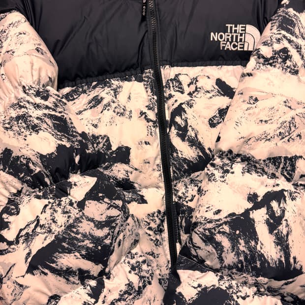 노스페이스 1996 노벨티 눕시 누트럴 그레이