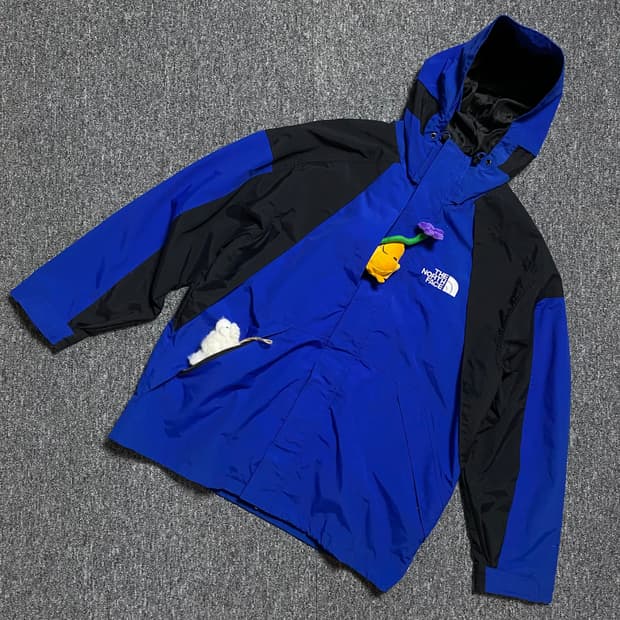 🌊TNF Goretex Mountain Parka