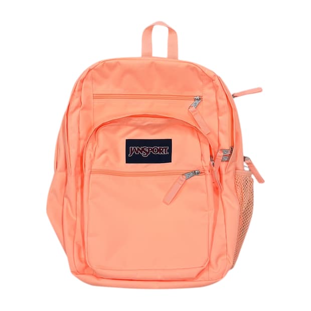 잔스포츠 빈티지 빅스튜던트 백팩 가방