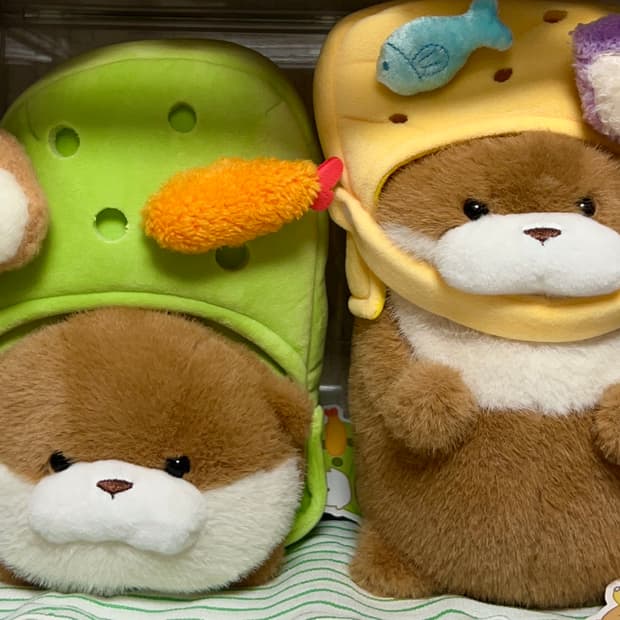 [단순전시] 신발에 낀 크록스 우소우소짱 수달 중형 인형 2개 일괄