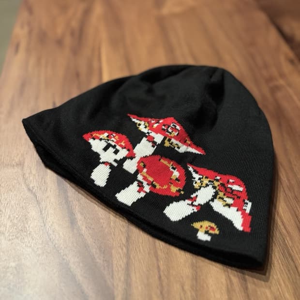 파타고니아 브로데오 머쉬룸 비니