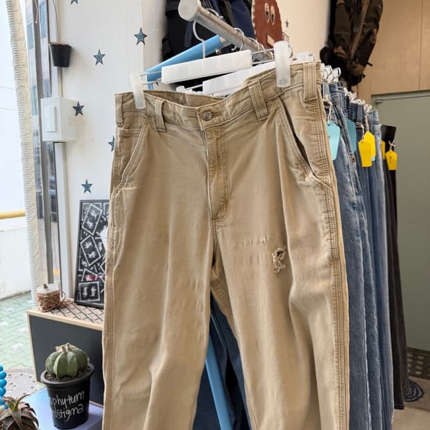 Carhartt work pants (34X34)