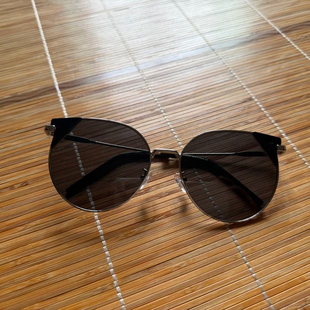 젠틀 몬스터 랑 선글라스 캣츠