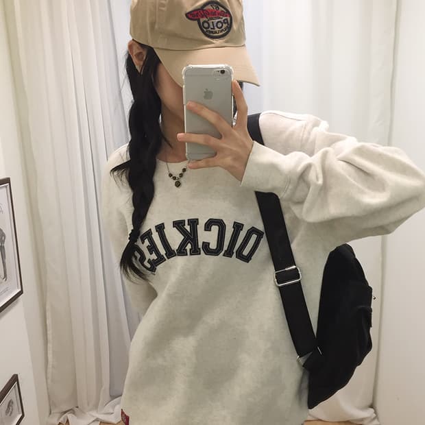 Unisex Dickies Sweatshirt 100