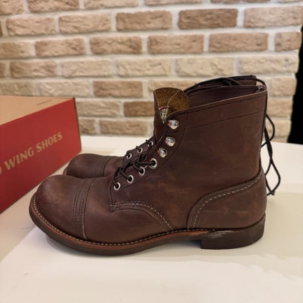 레드윙 아렌 8111 D [260mm]