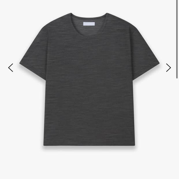 Les Fin t- shirt (charcoal)