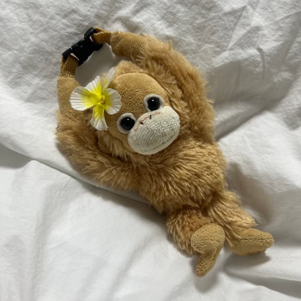 베이비코코앤너츠 파우치