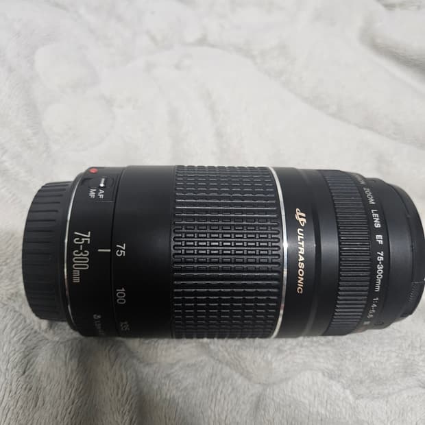 캐논 EF 75-300mm 망원 줌렌즈 dsrl 미러리스 캐논 렌즈
