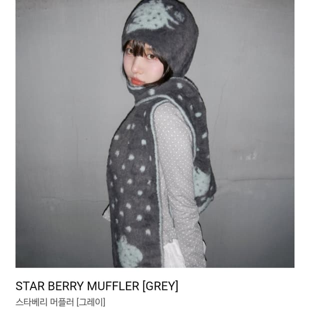 비디오자키 머플러