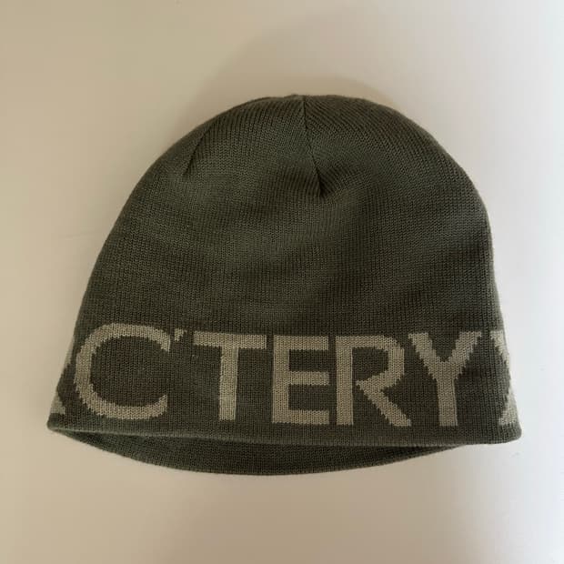 아크테릭스 비니