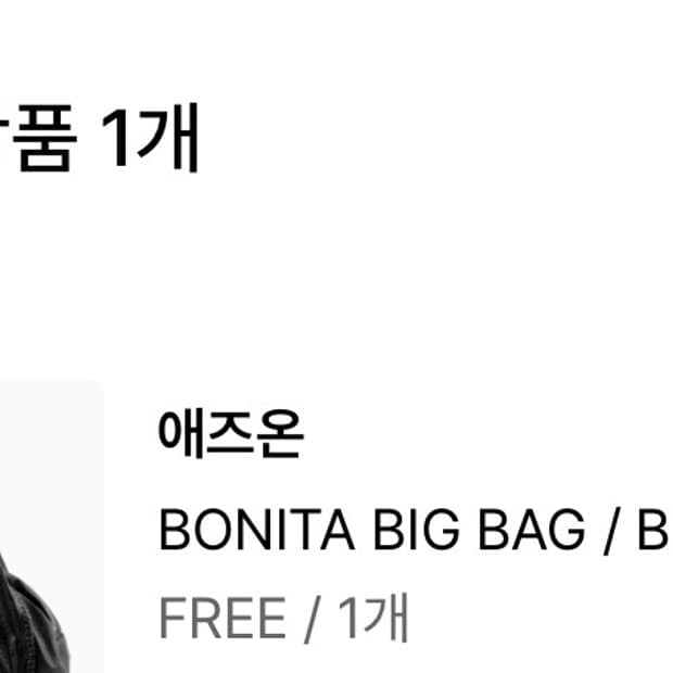 애즈온 보니타 빅백