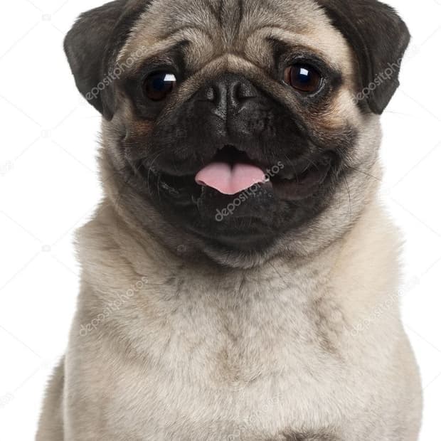 Zmz***a님 결제란