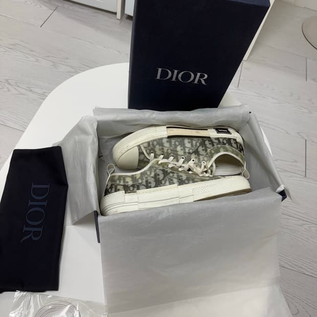 디올 오블리크 43(280)