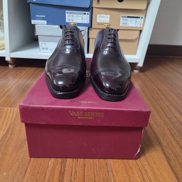 [새싱품] VASS 버건디 남성 구두