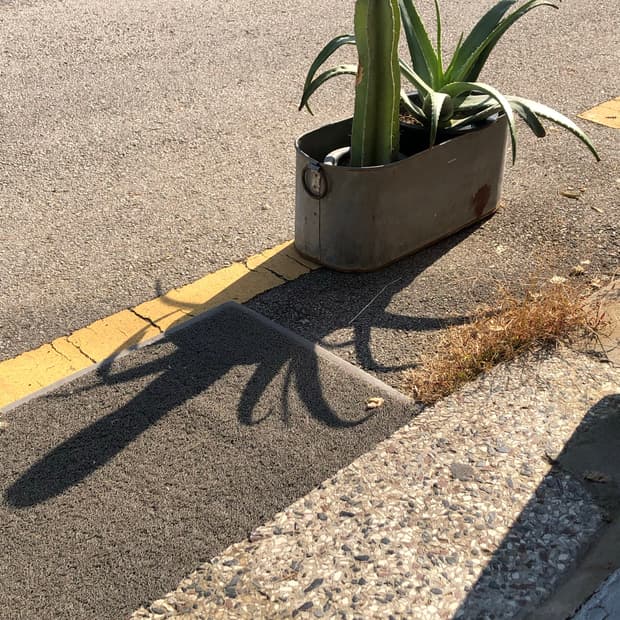 할인이벤트🌵🏜️