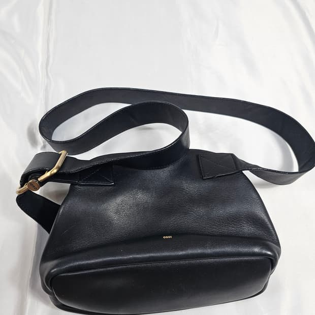 오소이미니브로트백