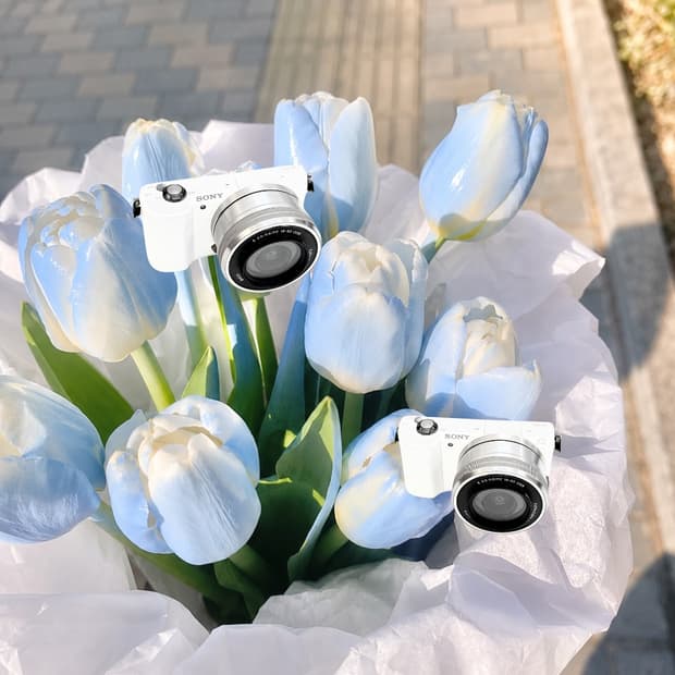 가성비미러리스!!) Sony A5000