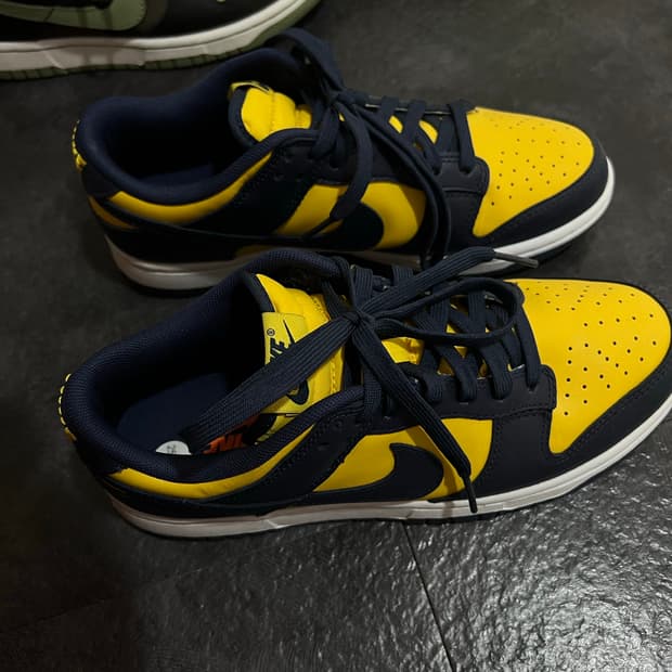 나이키 덩크 로우 바시티 메이즈 250