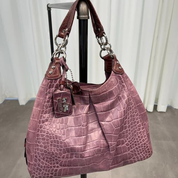 Coach Purple Basic Bag