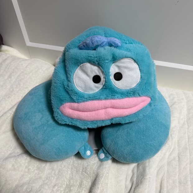 한교동 후드 목베개