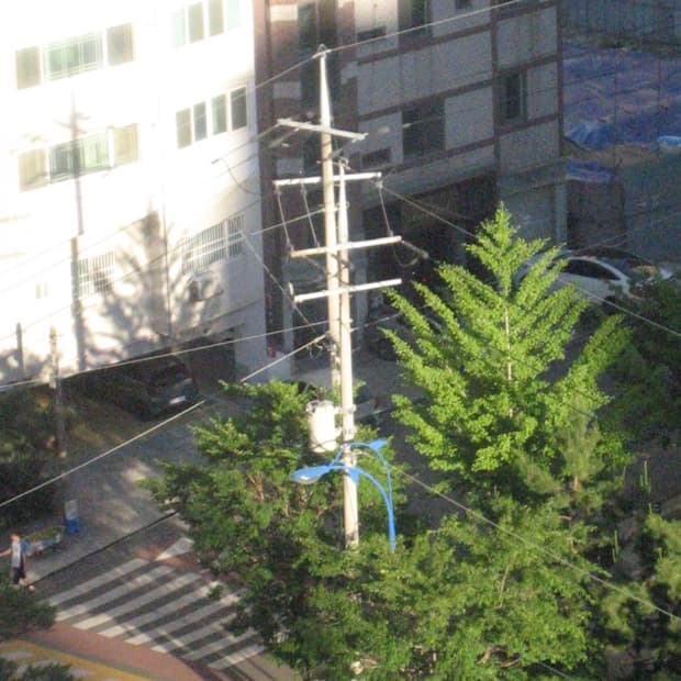 캐논 익서스 50 40 디카 디지털카메라 아이유