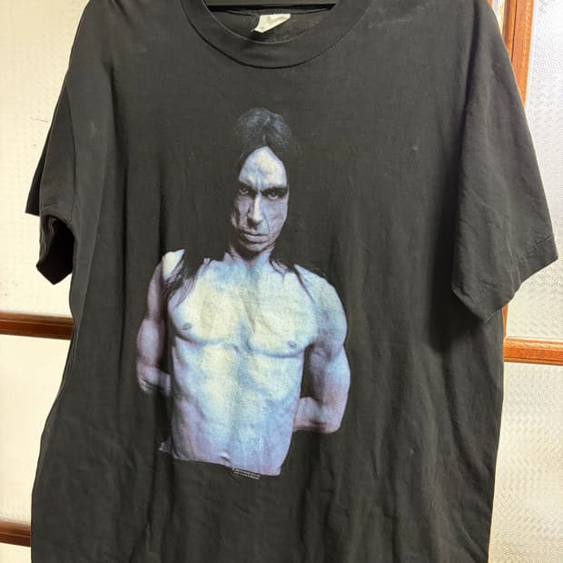 Iggy pop 1993