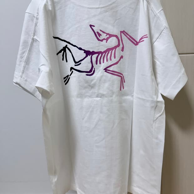 아크테릭스 라이트소울 반팔