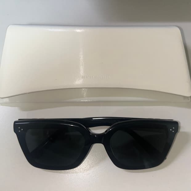 젠틀몬스터 선글라스