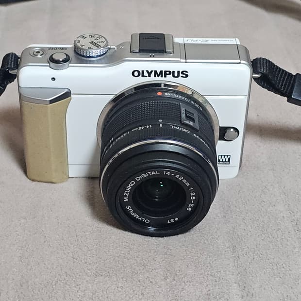 올림푸스 PEN E-PL1 미러리스 카메라