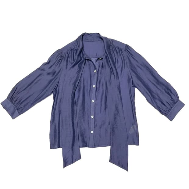 Blue scarf tie blouse