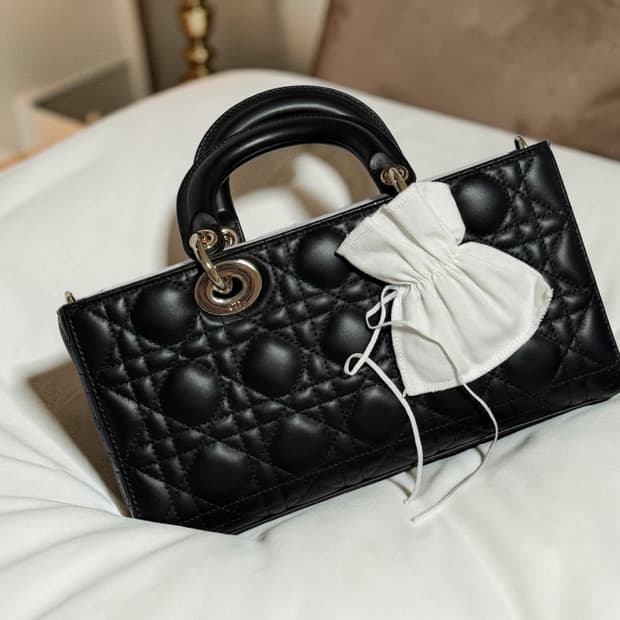 디올 디조이백 스몰