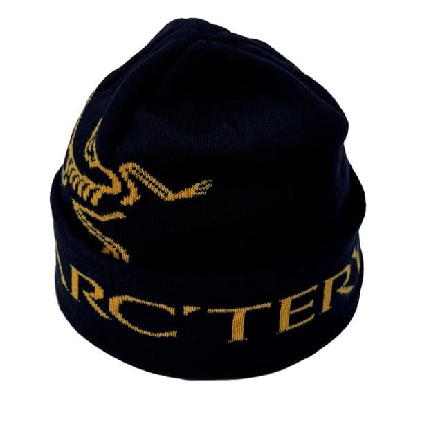 팔라스 아크테릭스 비니