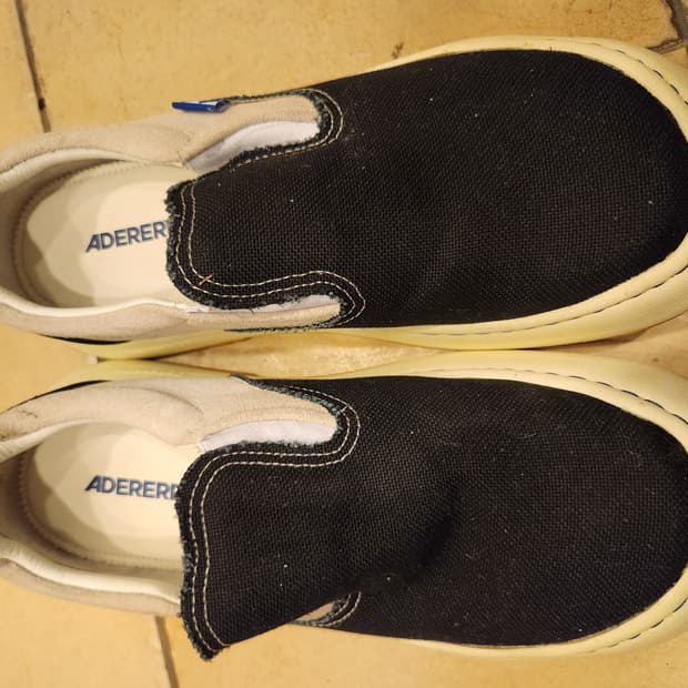 아더에러 로그 라드 느와르 