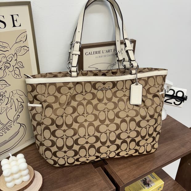 Coach vintage hobo bag