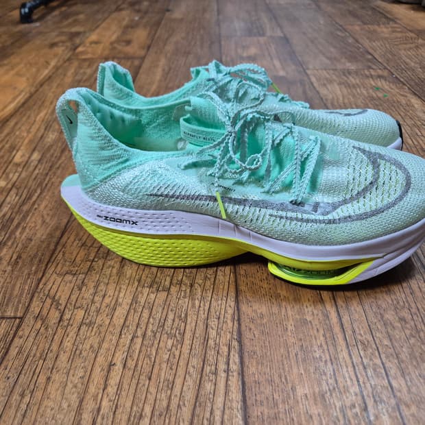 나이키 알파플라이 네스트2