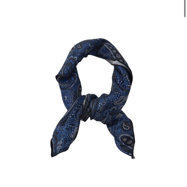 해칭룸 Paisley Bandana Scarf Blue