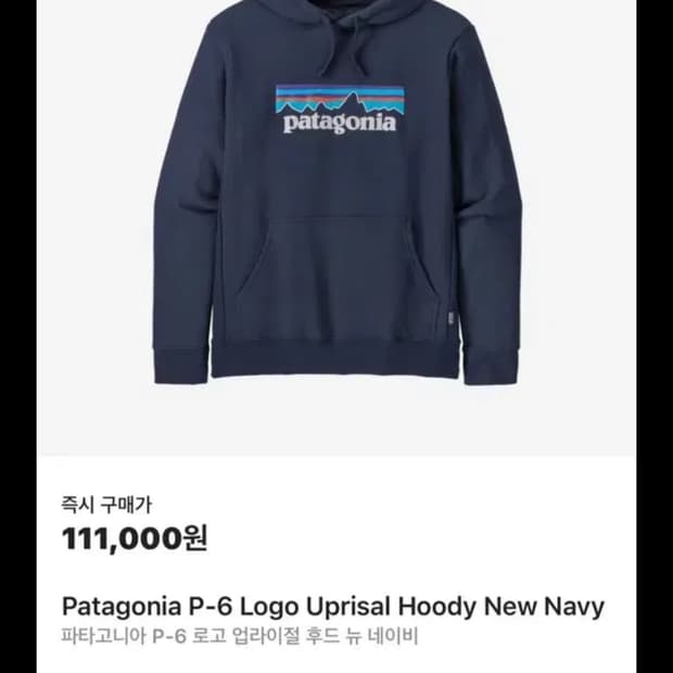 파타고니아 후드티