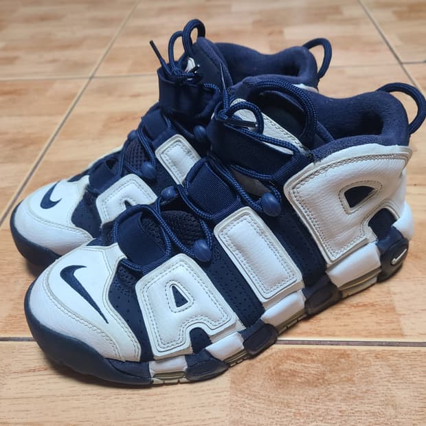 나이키 업템포 시드니 260