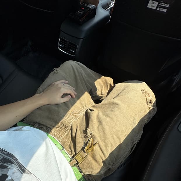 Carhartt FR 카펜터 워크 팬츠 37