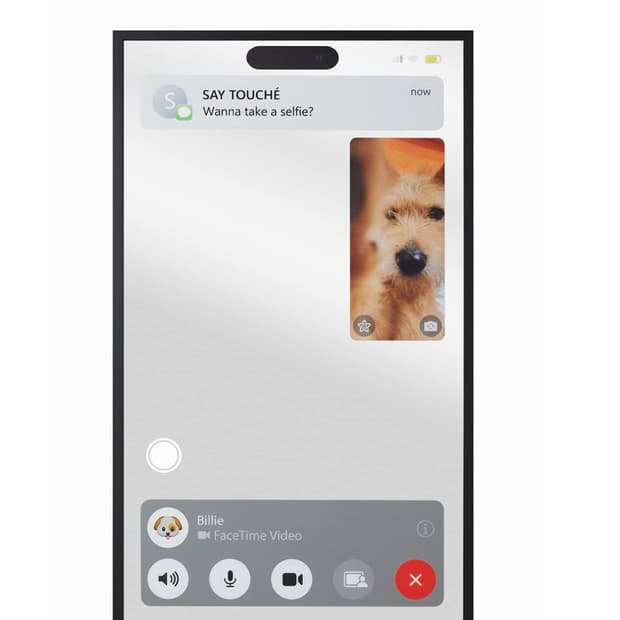 세이투셰 페이스타임 미러
