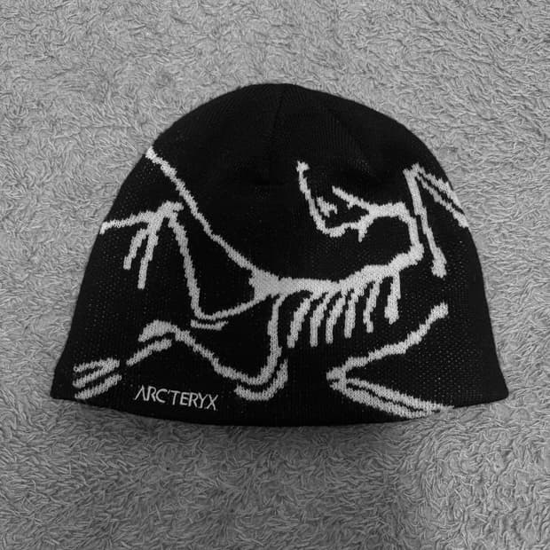 아크테릭스 버드 헤드 토크 오르카