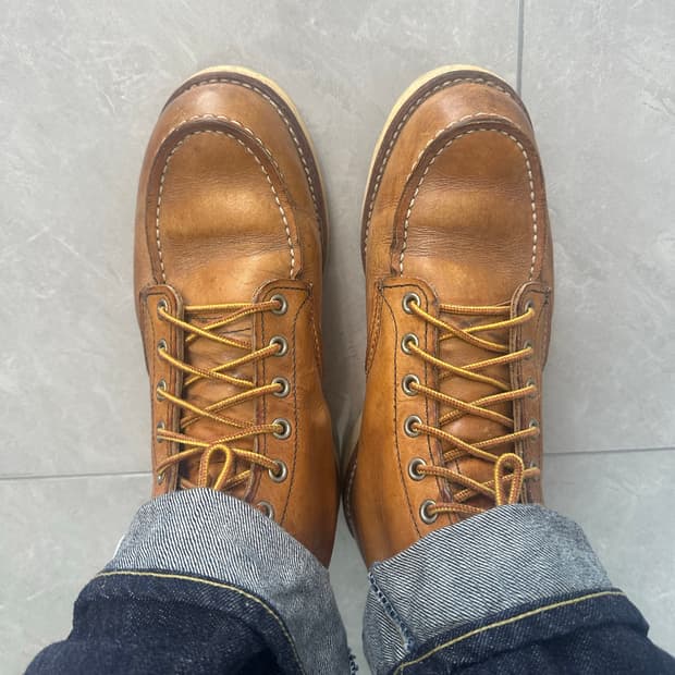 레드윙 목토 875 8d