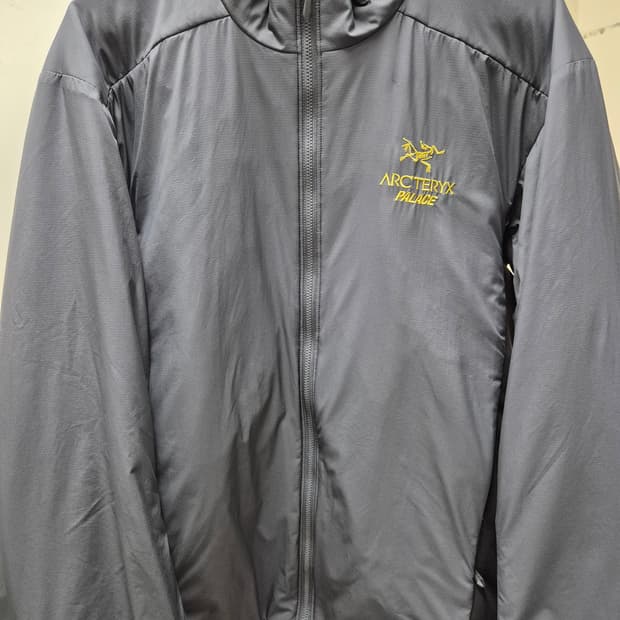 M) 아크테릭스 팔라스 아톰 Lt 자켓