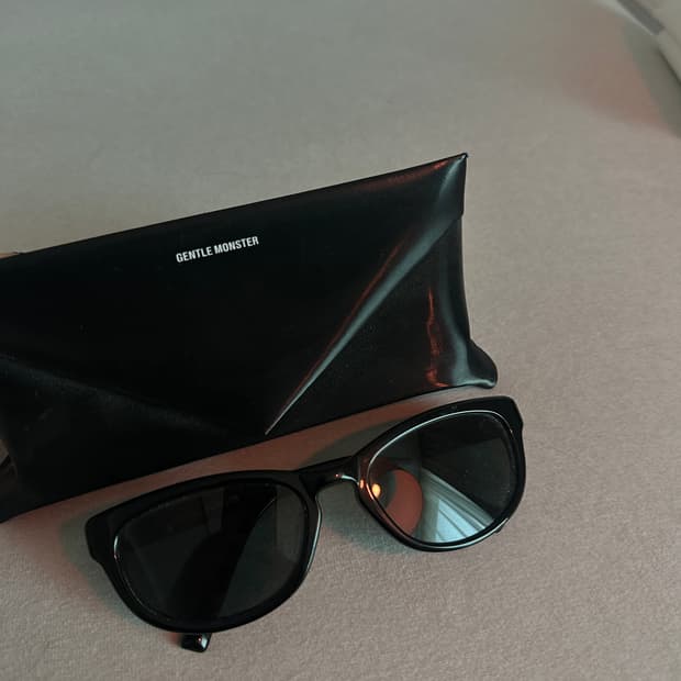 젠틀몬스터 레니 선글라스