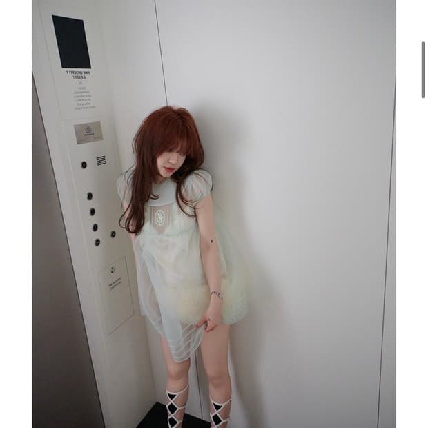 freckle motif organza dress (mint)