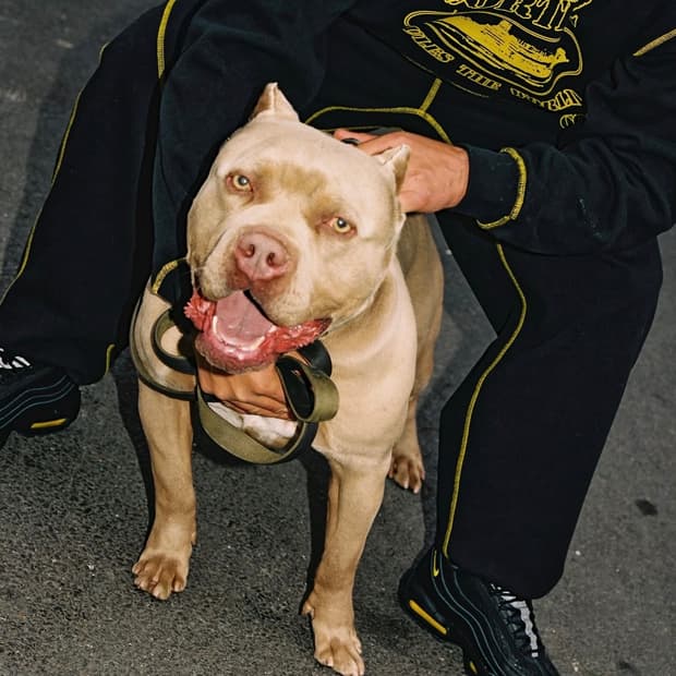 Corteiz 코르테이즈 95 RTW contrast 후드티 셋업