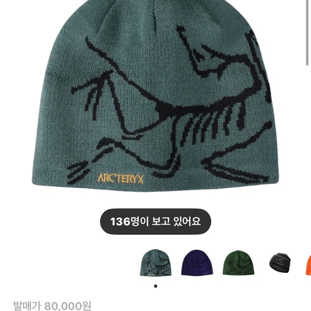 아크테릭스 버드 헤드토크 비니 다크 매직